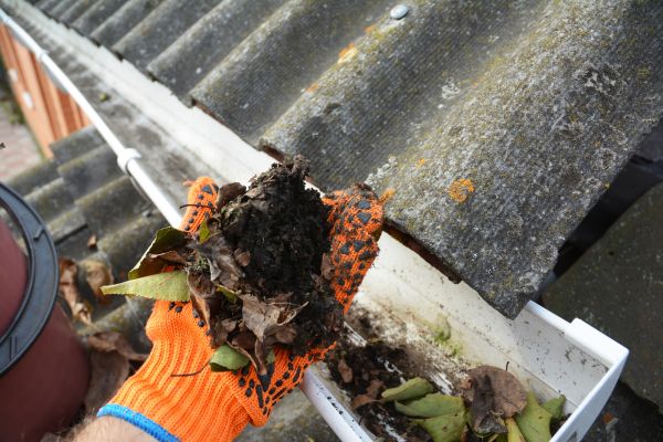 Seamless Gutter Cleaning in Oceanside
