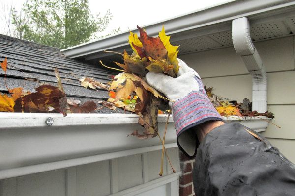 Leaf Gutter Cleaning in Oceanside