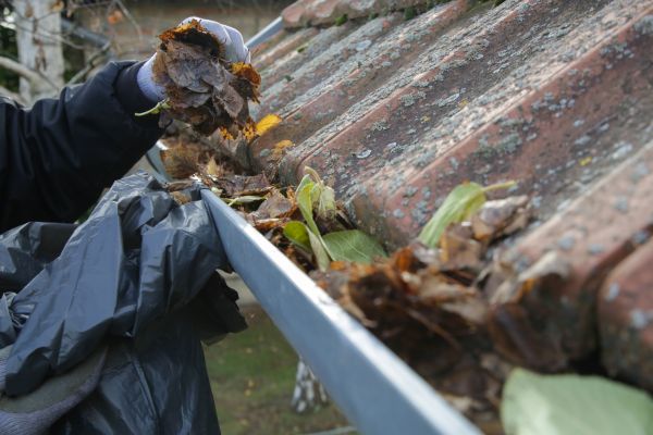 Commercial Gutter Unclogging in Oceanside