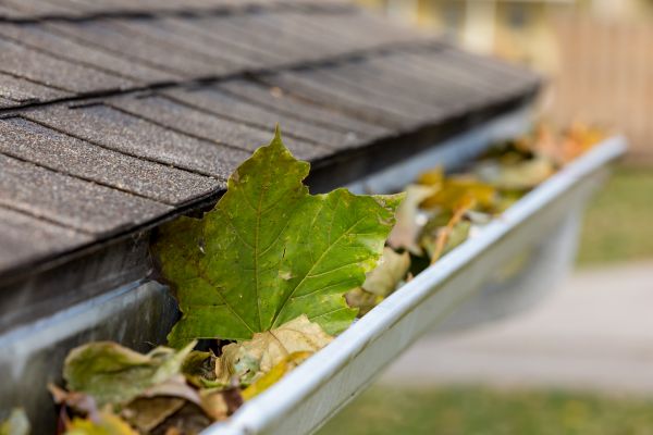 Commercial Downspout Cleaning in Oceanside