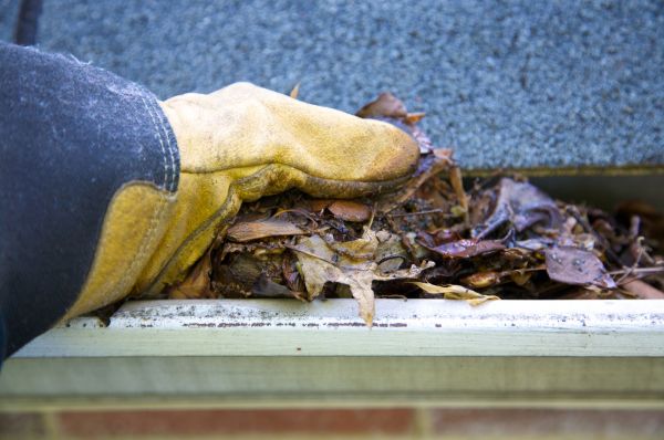 Cost of Jammed Gutter Cleaning in Oceanside