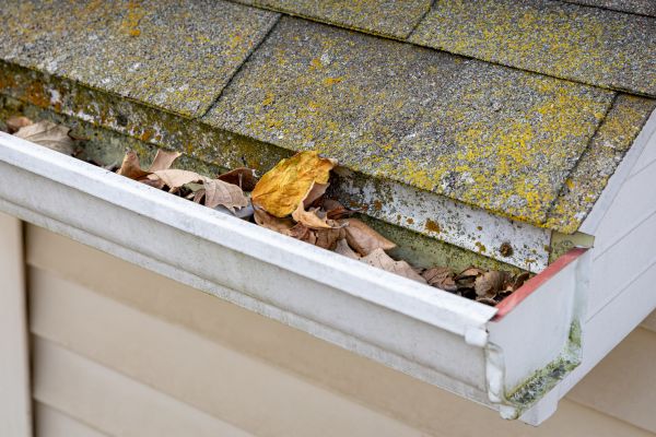 Cost of Garage Gutter Cleaning in Oceanside