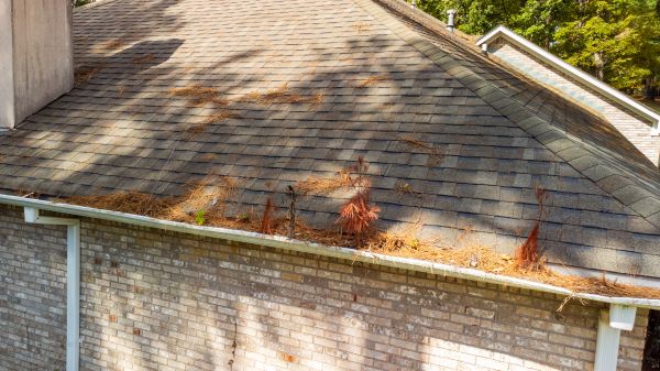 Cost of Gutter Pine Needle Removal in Oceanside