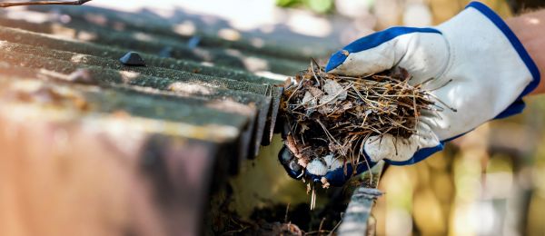 Pine Needle Gutter Cleaning in Oceanside