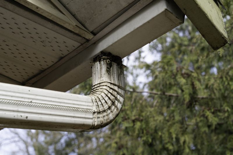 Downspout Blockage Removal