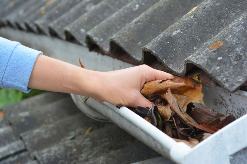 Gutter Inspection Close-up