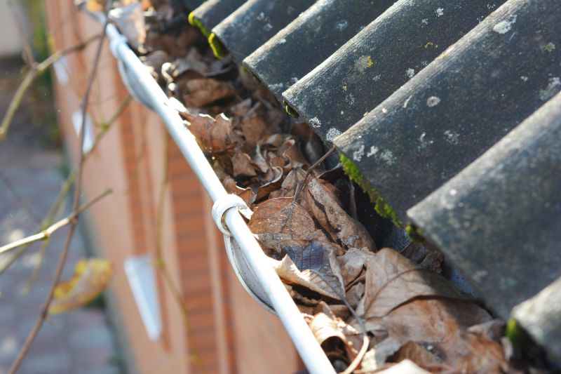 Clogged Gutters with Debris